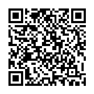 除了我跟程白泽外就是姥爷还有小姑天赐以及李小师小可二维码生成