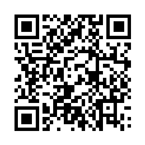 除了战死的和被柳逸尘装进储物戒指的二维码生成