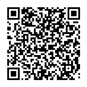 除了把总之外的其余十几个年轻人竟然也齐刷刷的亮出了一尺多长的砍刀二维码生成