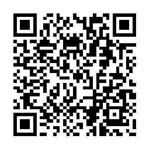 除了按照张磊的吩咐专程留下来对付坤八班以外二维码生成