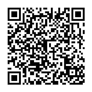 除了敖润格里斯小青等跟龙傲天关系十分的密切的人没有留下之外二维码生成