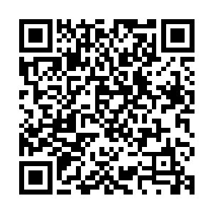 除了时不时要去参加纽约当地上流社会举办的大型慈善晚会之外二维码生成