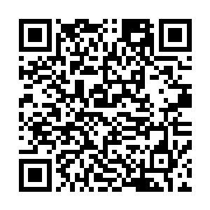 除了梓箐进入这个任务世界第一天被宿管大婶来了个下马威二维码生成