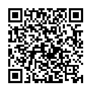 除了楚旬一人之外剩下的三个人都是身经百战的雇佣兵二维码生成