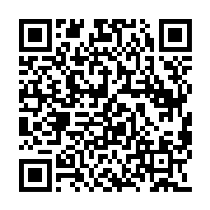 除了此刻在城主府内的将近二十名护法长老之外二维码生成