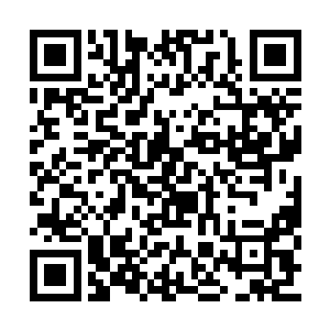 除了残害别人自己却是一点心里承受能力都没有二维码生成