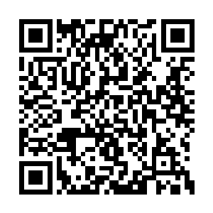 除了每日里虚情假意的在程荣瑞面前嘘寒问暖的二维码生成