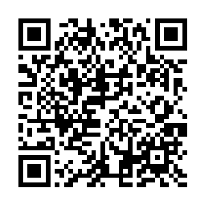 除了毛一波和黄天鹤这一类的凝练中阶顶峰的高手之外二维码生成