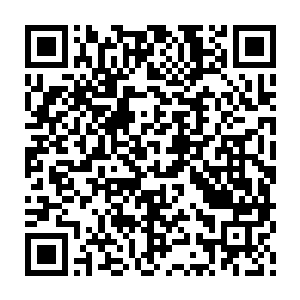 除了流墨墨清脆的带着点童音的喊声引起周围修真者多转头扫了她一眼之外二维码生成