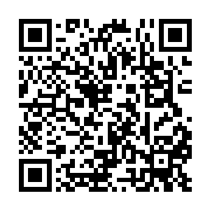 除了清心阁的人脸上的表情没有产生多大的变化外二维码生成