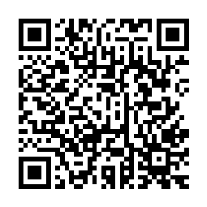 除了灰殿武士与雷神之锤的战士可以在城内骑着坐骑奔行之外二维码生成