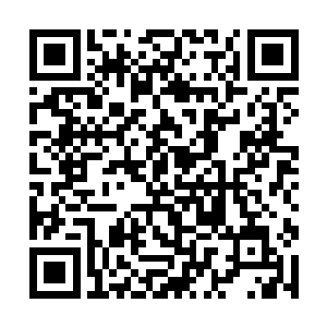 除了燕山魂一动不动此坐在原地悠闲地喝着仙酿之外二维码生成