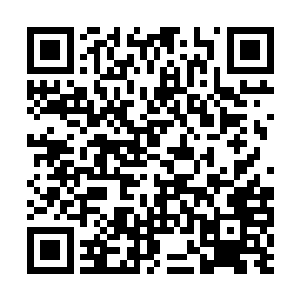 除了知道他追求过闻人家族的女强人闻人牧月之外二维码生成