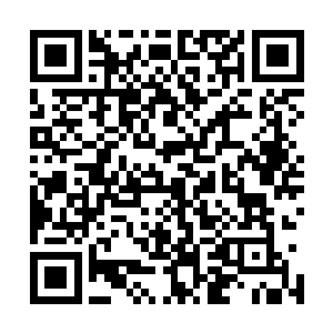 除了神殿高层的寥寥几人便无人知晓――事实上也的确如此二维码生成