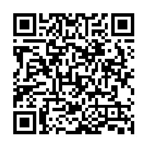 除了神禁军统领玄斗大人以及东安郡天元家族的家主外二维码生成
