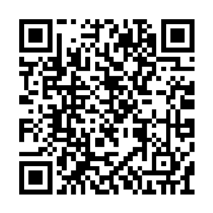 除了窝在流墨墨所在的检测舱外的雪如楼注意到二维码生成