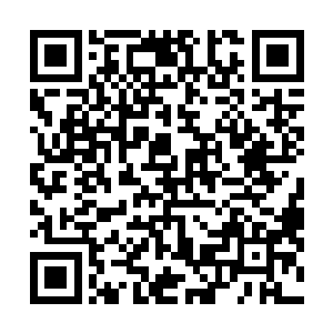 除了第一天来的时候不小心在门口引起了一场小轰动之外二维码生成