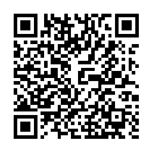 除了第一家族那些针对他的人其他的他也绝对不会为难的二维码生成