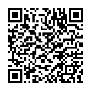 除了罗楼之外其他人在超脱者面前根本没什么用二维码生成