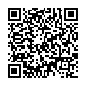 除了苗毅本人外没人能激发星铃中苗毅打下的法印和她联系二维码生成