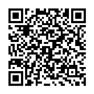 除了血鹫王的洞窟周围没有这种阴影仆役法阵之外二维码生成