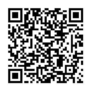 除了西山地界的天才一副神色不变我早已经知道的模样外二维码生成