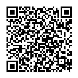 除了走不可复制的特殊路子培养出来的三个伪青属天仙――青珠圣人二维码生成