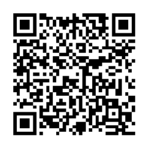 除了躺在那里还直哼哼热的文叔跟那个我不知道姓氏的大叔二维码生成
