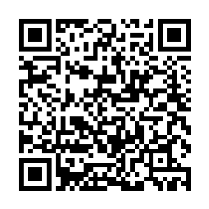 除了还在跪伏着的阿莱莎和摇摆不定的黑暗精灵之外二维码生成