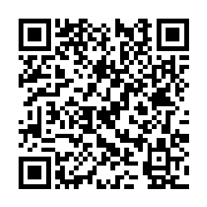 除了这个结界内部我还从来没有见过任何的生物呢二维码生成