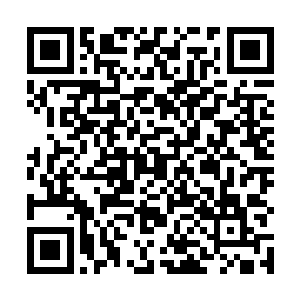 除了这几天没怎么进食身体有点虚弱以外没有什么大碍二维码生成