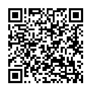 除了这天元城中留下那生命树和善恶树已经恢复了不少二维码生成