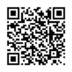 除了迪姆几个之外其他人全部抓到了二维码生成