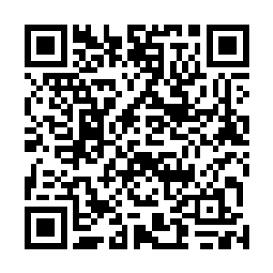 除了通风报信的就统统根据那些公会大佬们的指示回城了二维码生成