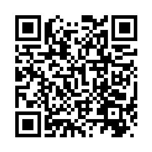 除了那些捕鲸船和抗议的反捕鲸船二维码生成