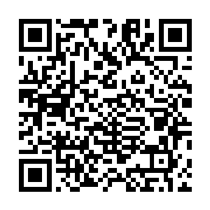 除了那最后两个与余乐平一同苟延残喘的道源三层境之外二维码生成