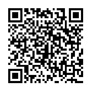 除了那颗孕育着黄金独角仙的力量的救赎之果还没有成熟之外二维码生成
