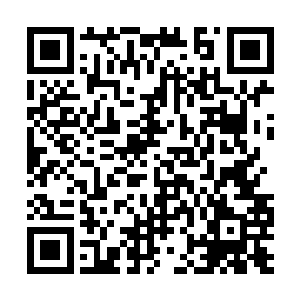 除了陈家的老爷子之外其他的人都不愿意招惹药家二维码生成