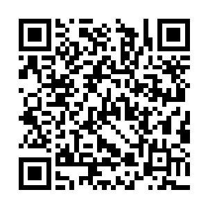 除了陈观提供的三个人的模拟画像和乘坐的悍马车二维码生成
