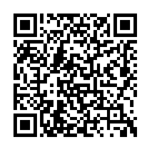 除了青铜血龙根自己打算留着炼化提升修为之外二维码生成