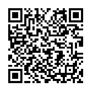 除了颜洛儿那个渡妖帝劫的血妖姬折腾出夸张的声势外二维码生成