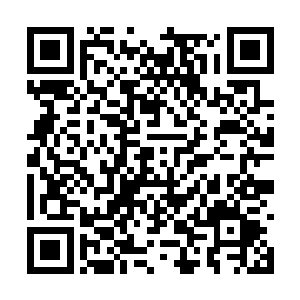 除了魔魂宫有一半原因是冲着华夏九师尊幽鬼之外二维码生成