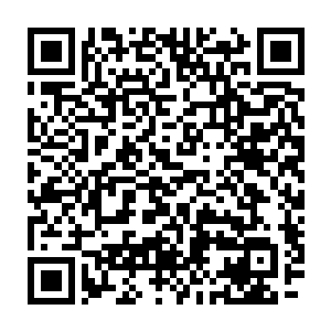 除了龙无双这等绝色美人之外居然还有三个大美人愿意跟着你一同赴死二维码生成