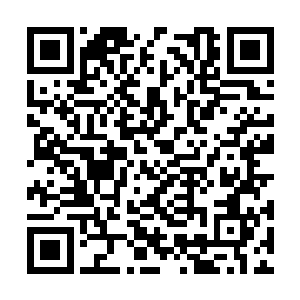 除了龙组几个高层和他们几个执行任务的战士之外二维码生成