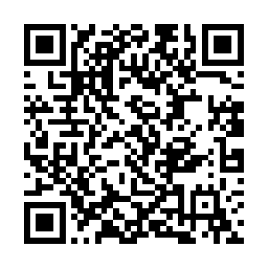 除他以外还有鉴定师世家的白先生和一帮看起来颇为二维码生成