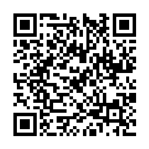 除却知晓主大陆上有着九位妖帝以及众多妖界精英二维码生成