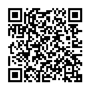 除却那长的恐怖的血色发丝以及那明亮却透出迷蒙目光的眸子二维码生成