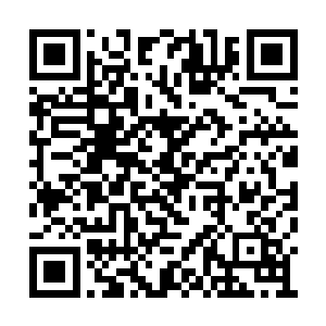 除却黑网另一侧沼泽地内泥巴鬼灵的暴躁嘶吼声二维码生成