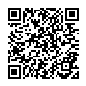 除少部秉性坚贞又或高层预备役的嫡系严词拒绝任何招揽二维码生成