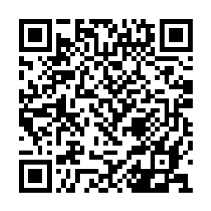 除掉那些你蒙城地区其实还是有些东西有价值的二维码生成